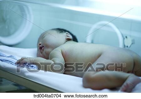 a sleeping baby in an incubator View Large Photo Image Picture - a sleeping baby in an incubator. Fotosearch