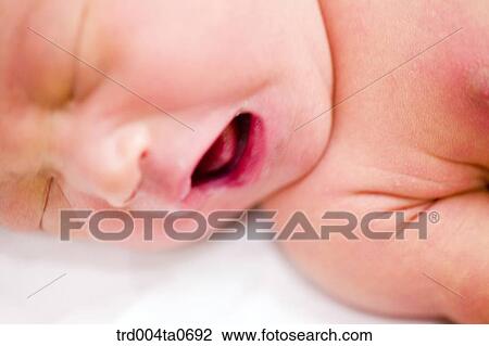 a yawning newborn baby View Large Photo Image Stock Image - a yawning newborn baby. Fotosearch