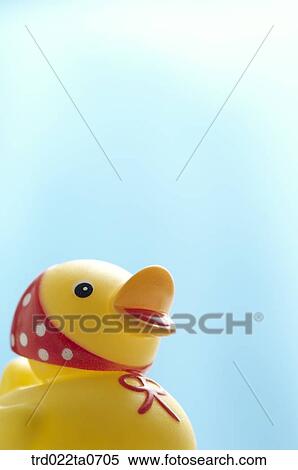 baby supplies/duck doll View Large Photo Image Stock Photography - baby supplies/duck doll. Fotosearch