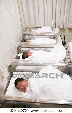 lying newborn babies in a bed View Large Photo Image Stock Image - lying newborn babies in a bed. Fotosearch