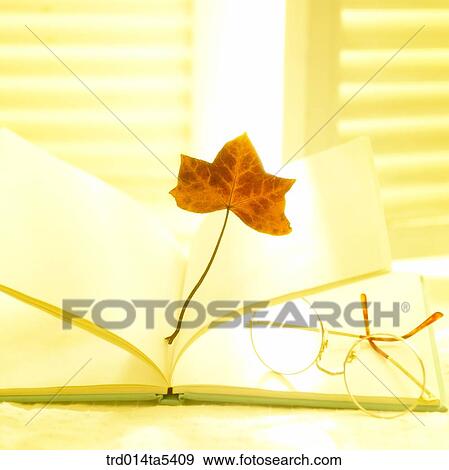 Stock Photo - a book and a leaf. Fotosearch
