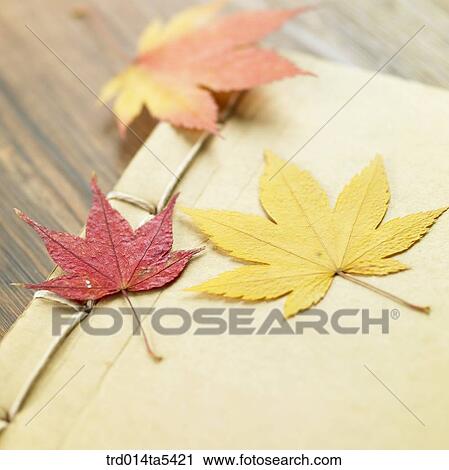 Stock Image - a book and maple leaves. Fotosearch