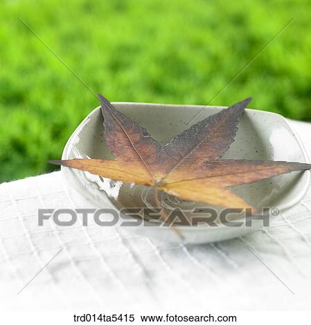 a leaf in a vessel View Large Photo Image Stock Photography - a leaf in a vessel. Fotosearch