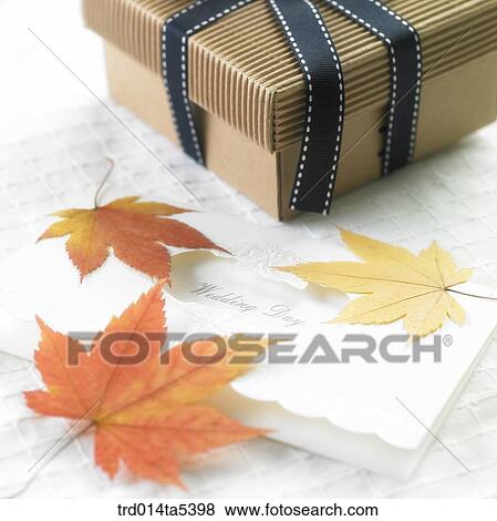 Stock Photo - a present box, a card and maple leaves. Fotosearch