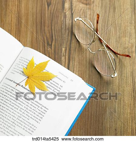 an opened book a maple leaf and glasses View Large Photo Image Stock Photography - an opened book a maple leaf and glasses. Fotosearch