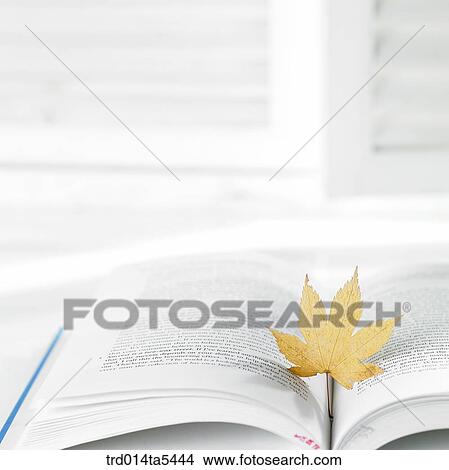 Picture - an opened book and a leaf. Fotosearch