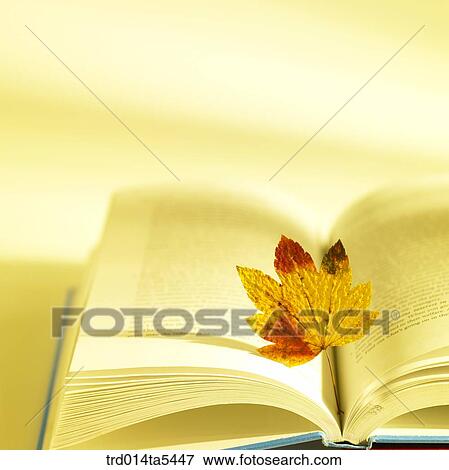 Stock Photo - an opened book and a leaf. Fotosearch
