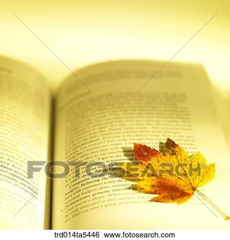 Stock Photograph - an opened book and a leaf. Fotosearch