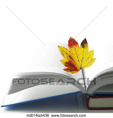 Stock Photo - an opened book and a maple leaf. Fotosearch