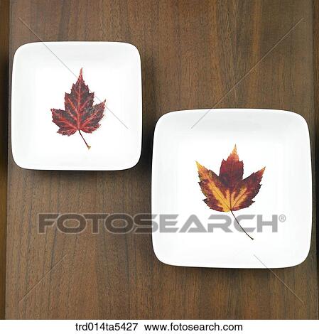 Stock Photo - leaves on a dish. Fotosearch