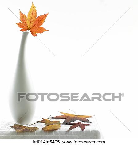 leaves on a table View Large Photo Image Stock Photography - leaves on a table. Fotosearch