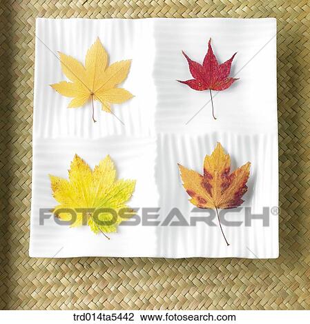 Stock Image - maple leaves on a dish. Fotosearch