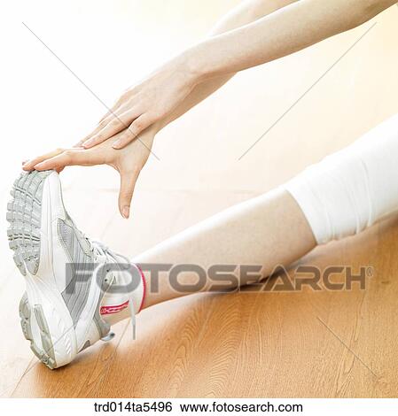 a stretching woman's hands and feet View Large Photo Image Stock Photograph - a stretching woman's hands and feet. Fotosearch