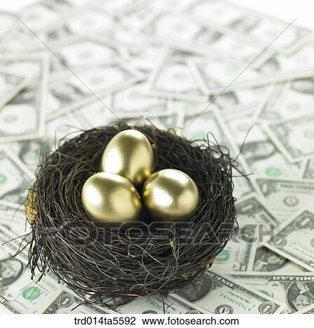 finance/a nest and golden eggs on a paper money View Large Photo Image Stock Image - finance/a nest and golden eggs on a paper money. Fotosearch