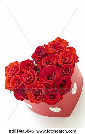 a heart-shaped rose bouquet View Large Photo Image Stock Photography - a heart-shaped rose bouquet. Fotosearch