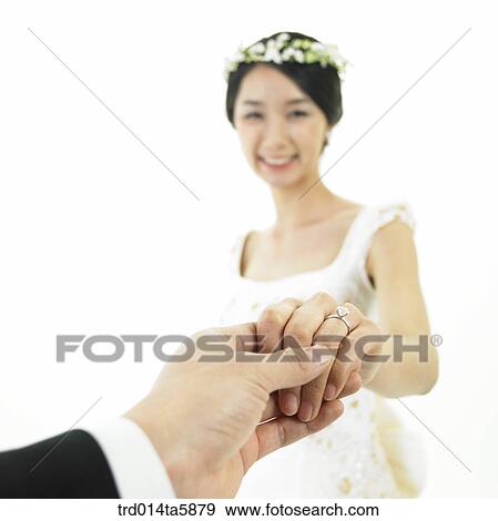 a bride and a bridegroom holding her hands View Large Photo Image Stock Photo - a bride and a bridegroom holding her hands . Fotosearch