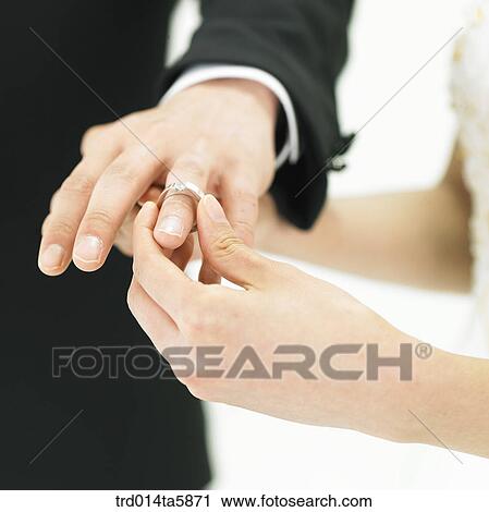 a bride wearing a wedding ring and a bridegroom holding her hands View Large Photo Image Stock Image - a bride wearing a wedding ring and a bridegroom holding her hands . Fotosearch