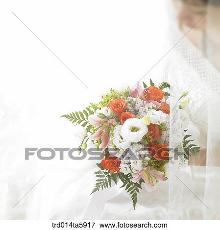a bride with a bouquet View Large Photo Image Stock Photo - a bride with a bouquet. Fotosearch