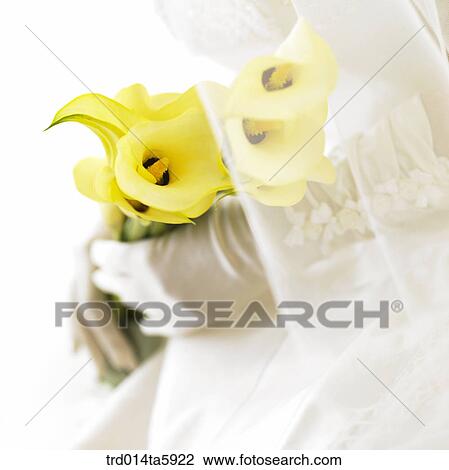 a bridegroom with a bouquet and a bride View Large Photo Image Stock Image - a bridegroom with a bouquet and a bride. Fotosearch