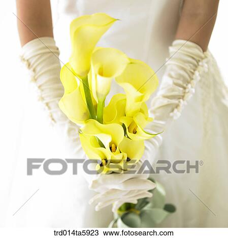 a bridegroom with a bouquet and a bride View Large Photo Image Stock Image - a bridegroom with a bouquet and a bride. Fotosearch