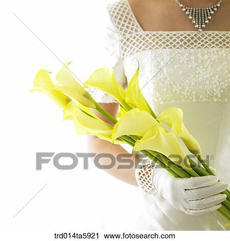 a bridegroom with a bouquet and a bride's hands View Large Photo Image Stock Image - a bridegroom with a bouquet and a bride's hands. Fotosearch