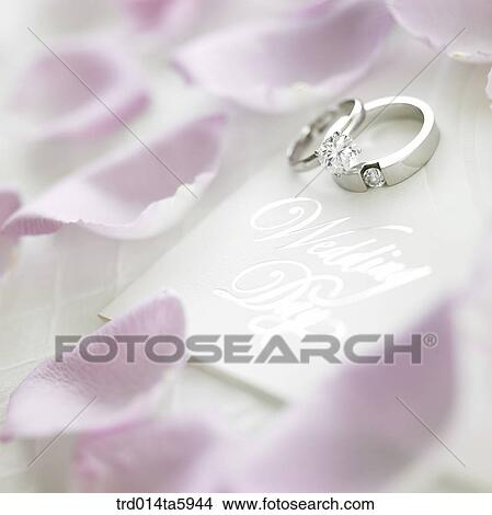 a flower and a wedding ring on the table View Large Photo Image Picture - a flower and a wedding ring on the table. Fotosearch
