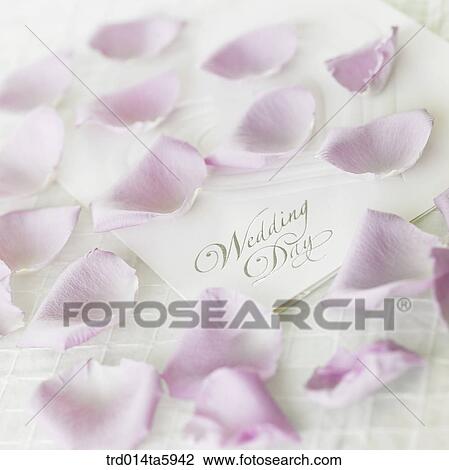 a flower and an invitation on the table View Large Photo Image Stock Image - a flower and an invitation on the table. Fotosearch