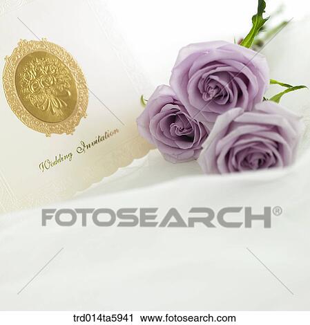 a rose and an invitation on the table View Large Photo Image Stock Image - a rose and an invitation on the table. Fotosearch