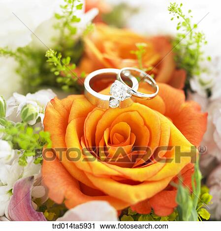 a wedding ring View Large Photo Image Stock Image - a wedding ring. Fotosearch