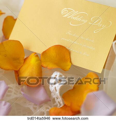 an invitation and a flower on the wedding veil View Large Photo Image Stock Photograph - an invitation and a flower on the wedding veil. Fotosearch