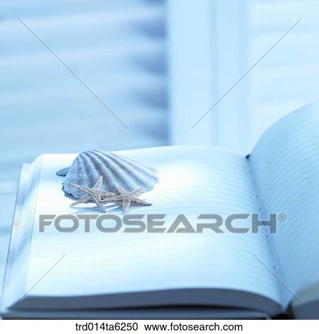notebook, notebook, starfish, office supply, supply, exercise book, still life View Large Photo Image Stock Image - notebook, notebook, starfish, office supply, supply, exercise book, still life. Fotosearch