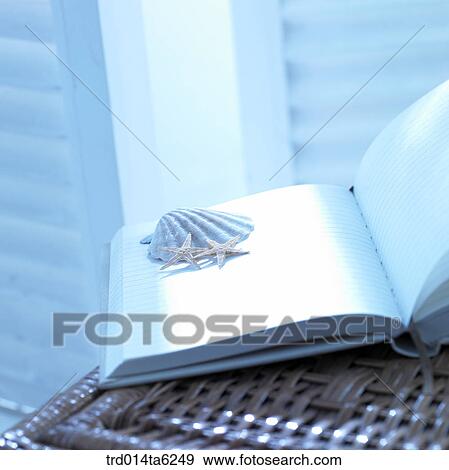 notebook, notebook, starfish, office supply, supply, exercise book, still life View Large Photo Image Stock Photo - notebook, notebook, starfish, office supply, supply, exercise book, still life. Fotosearch