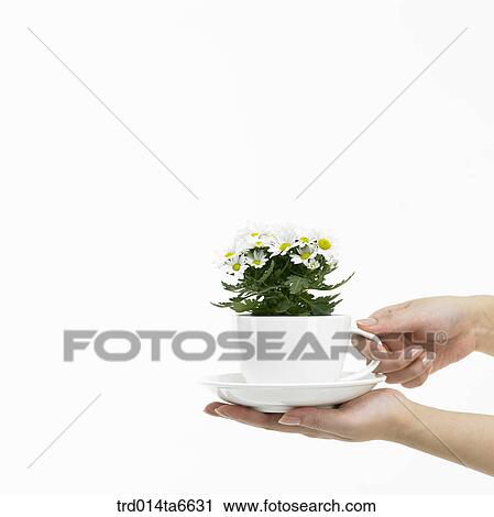person, body, hand, closeup, object, interior, supply View Large Photo Image Stock Image - person, body, hand, closeup, object, interior, supply. Fotosearch