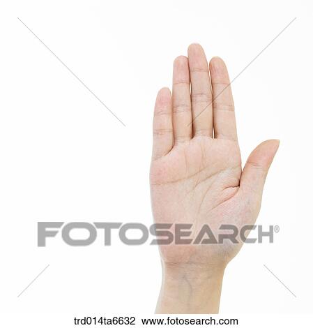 Stock Image - person, body, hand, closeup, object, palm. Fotosearch