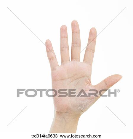 person, body, hand, closeup, object, palm View Large Photo Image Stock Image - person, body, hand, closeup, object, palm. Fotosearch