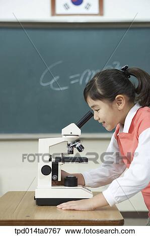 science, observation, classroom, education, Asian, smile, person View Large Photo Image Stock Photo - science, observation, classroom, education, Asian, smile, person. Fotosearch