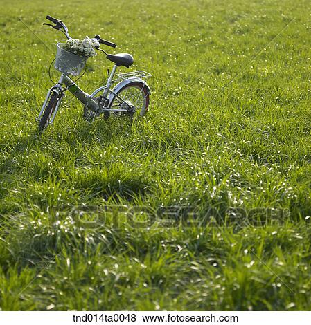 Stock Photo - a bicycle with a bouquet. Fotosearch