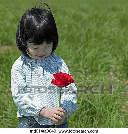 a child holding a rose View Large Photo Image Stock Image - a child holding a rose. Fotosearch