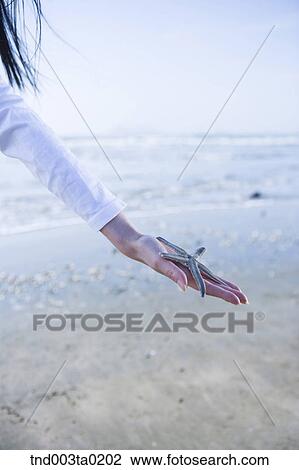 Stock Image - a hand with a sea star. Fotosearch