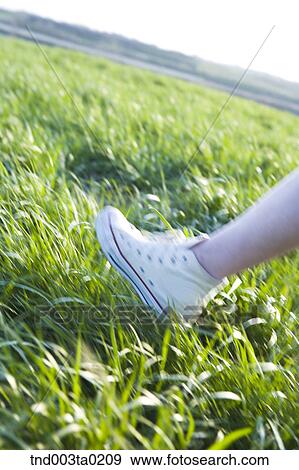 a leg on a lawn View Large Photo Image Stock Photo - a leg on a lawn. Fotosearch