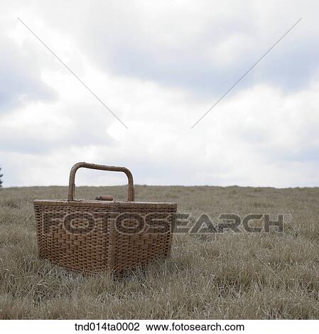 Stock Image - a lunch box on the grass. Fotosearch