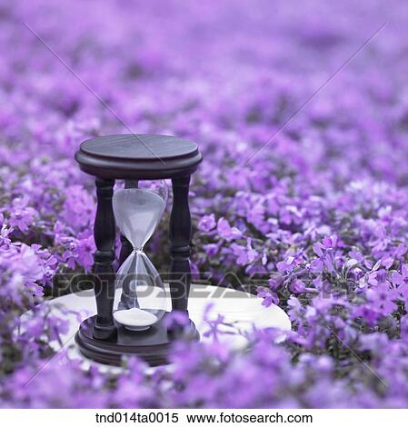 Stock Photography - a pair of sandglass. Fotosearch