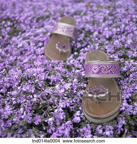 Picture - a pair of sandle in a flower garden. Fotosearch