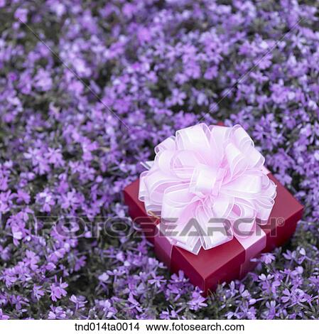 a present box in a flower garden View Large Photo Image Picture - a present box in a flower garden. Fotosearch