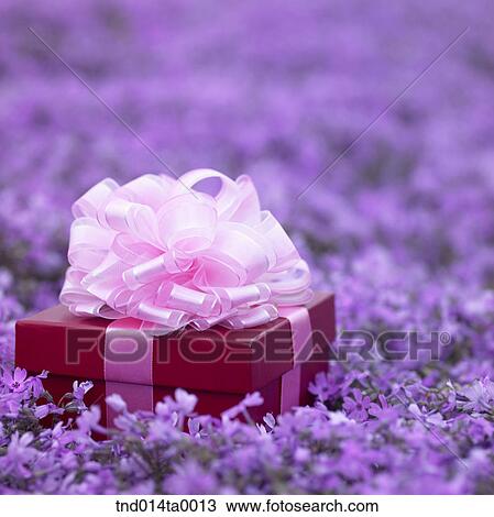 a present box in a flower garden View Large Photo Image Stock Image - a present box in a flower garden. Fotosearch