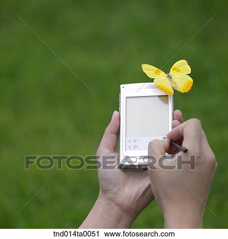 a woman doing something with a PDA on the grass and a butterfly View Large Photo Image Stock Image - a woman doing something with a PDA on the grass and a butterfly. Fotosearch
