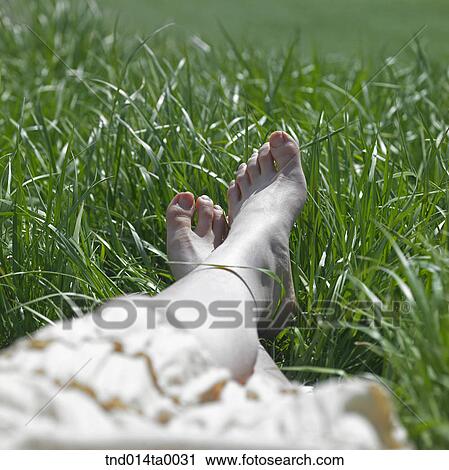 a woman's feet on the grass View Large Photo Image Stock Image - a woman's feet on the grass. Fotosearch