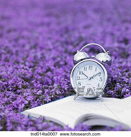 an alarm clock in a flower garden View Large Photo Image Stock Photo - an alarm clock in a flower garden. Fotosearch
