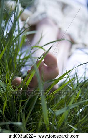 feet on the grass View Large Photo Image Picture - feet on the grass. Fotosearch