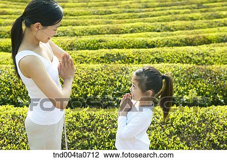 a mother and a child doing Yoga in a tea field View Large Photo Image Stock Image - a mother and a child doing Yoga in a tea field. Fotosearch